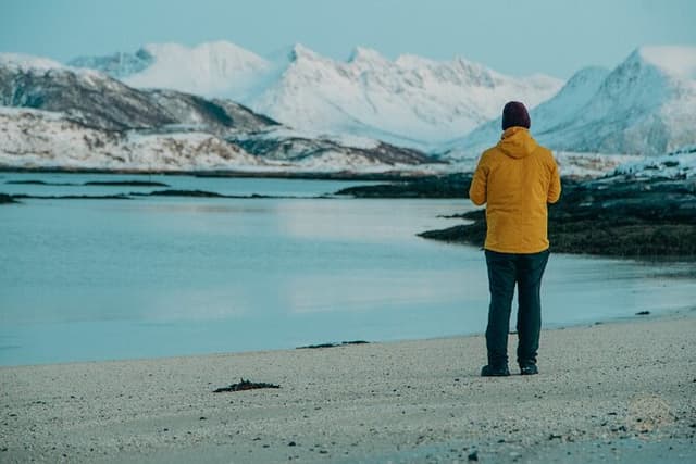 Arctic Fjord Roadtrip with Scenic Picnic from Tromso