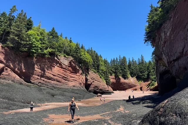 Shore Tours Saint John
