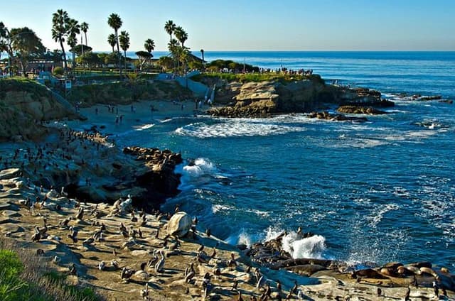 San Diego Ultimate Private Tour Experience