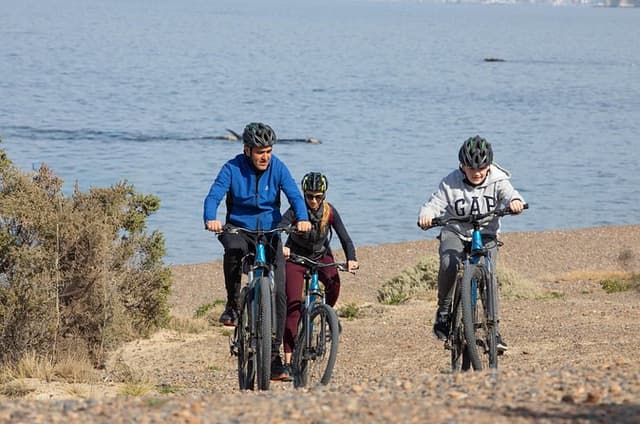 Bike Tour Whales in Playa Doradillo