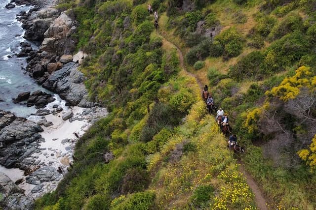 Papudo Tour with Penguins and Horseback Ride