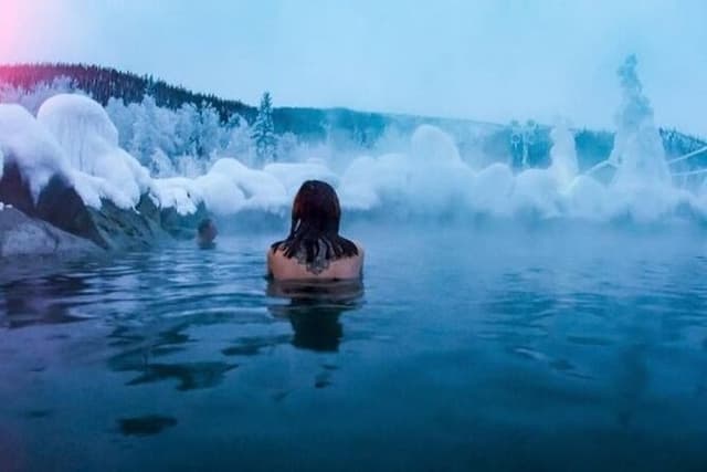Northern Lights & Chena Hot Springs Tour
