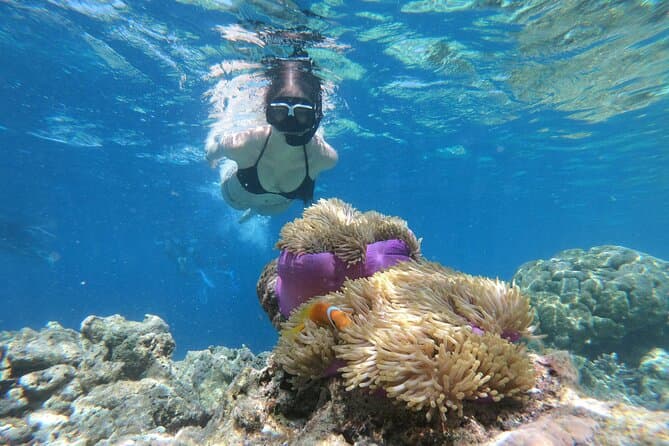 Ko Yao Yai to Phi Phi Islands Speedboat Day Trip