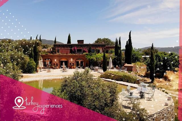 Wines & Wonders of Bodrum : Vine Tasting and Bodrum City Tour