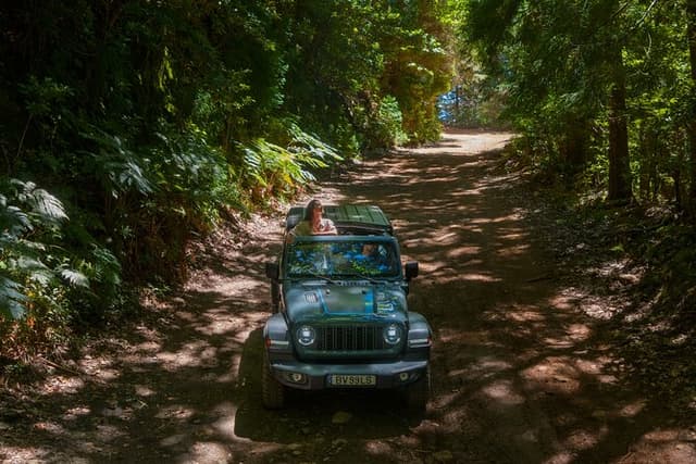 Madeira East Highlights: Private Half-Day Expedition