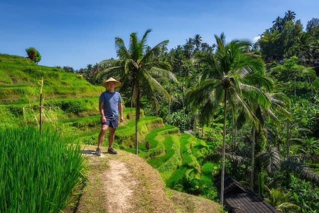 Best of Ubud Private Full-Day Tour