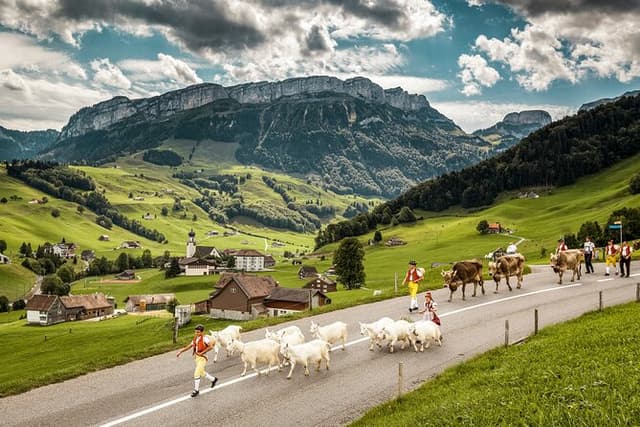 Appenzell Alps Day Trip from Zurich – Farm Life & Cheese Tasting
