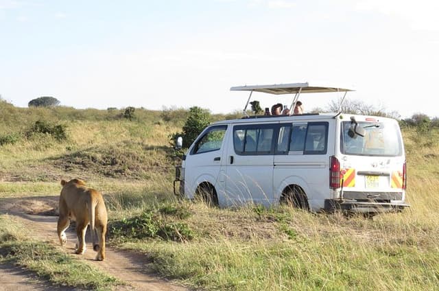 Tsavo National Park Group Tour with Game Drives