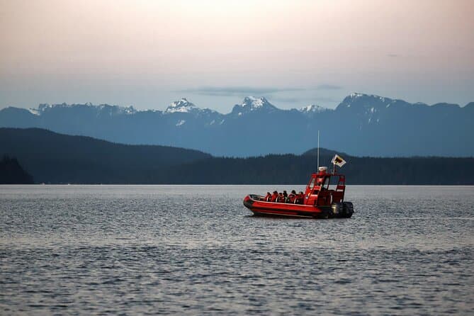 Campbell River Whale Watching