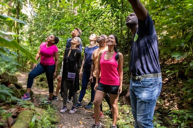 St. Lucia: Jacquot Trail Rainforest Small-Group Hiking Tour
