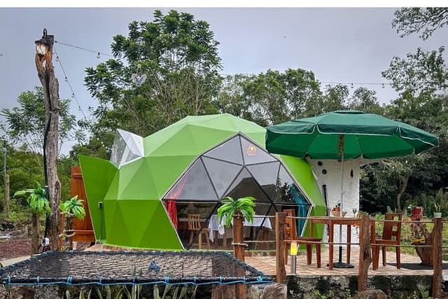 Giant Tortoises & Lava Tunnels Experience with Dome Stay