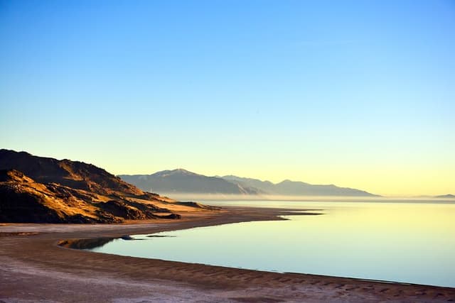 Antelope Island Sunset Wildlife Expedition Great Salt Lake Tour