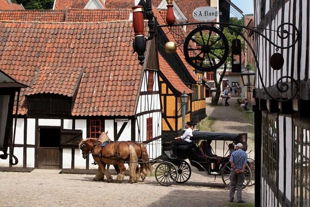 Aarhus Private Tour in Den Gamle By from Cruise Port