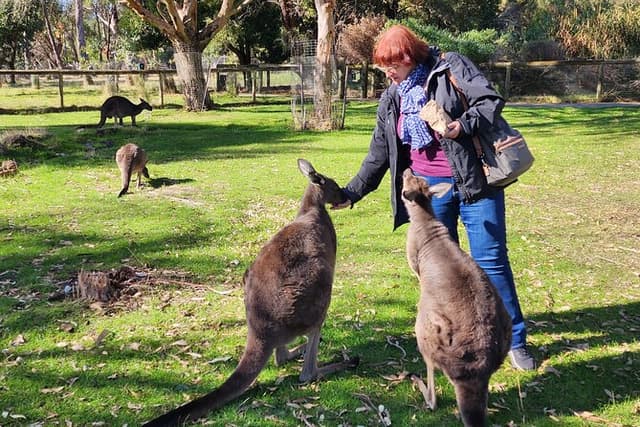 Adelaide Hills Cleland and Hahndorf Premium Full Day Cruise Tour