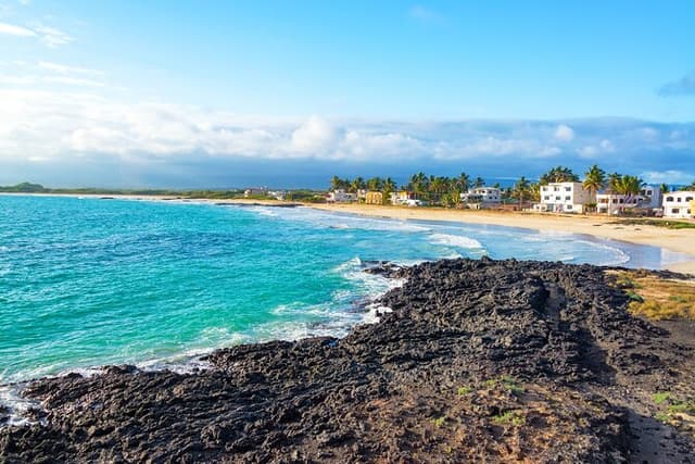 Private Shore Tour: Tintoreras Islet Wildlife & Snorkeling