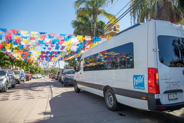 Todos Santos Magical Town from Los Cabos with Baja Culture & Art