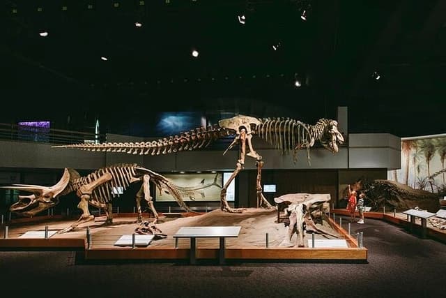 Drumheller & Badlands Full Day Private Tour from Calgary