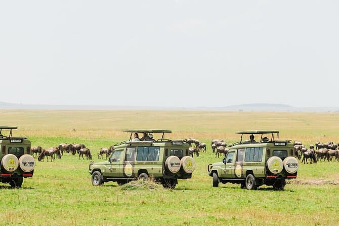 Compare Top Arusha Safari Operators