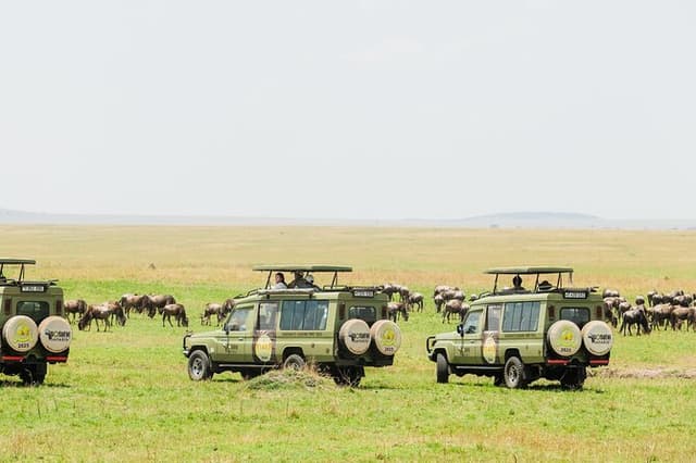 8-Day Calving Season Safari – Witness Nature’s Greatest Wonder