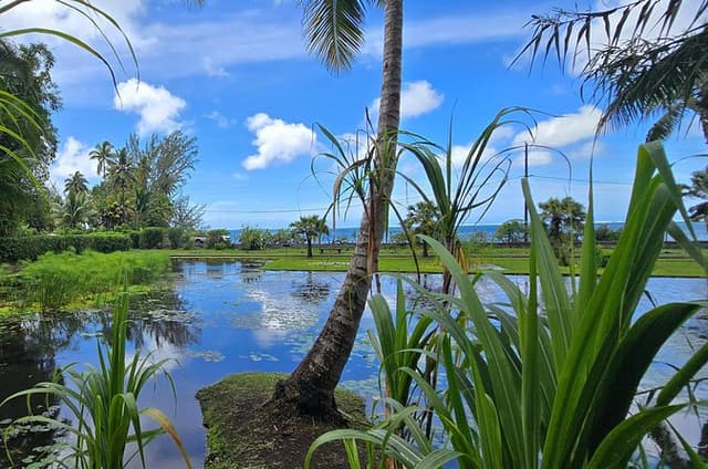 Private Full-Day Tahiti — Grotto, Gardens & Panoramas