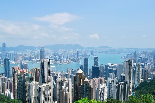 [Strategic Proxy] Hong Kong On-Ground Execution & Support