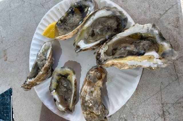 Boston Food History Walking Tour
