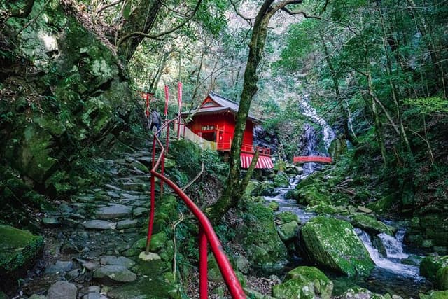 Near KIX: Mt. Inunaki Shugendo Waterfall Hiking Guided Tour