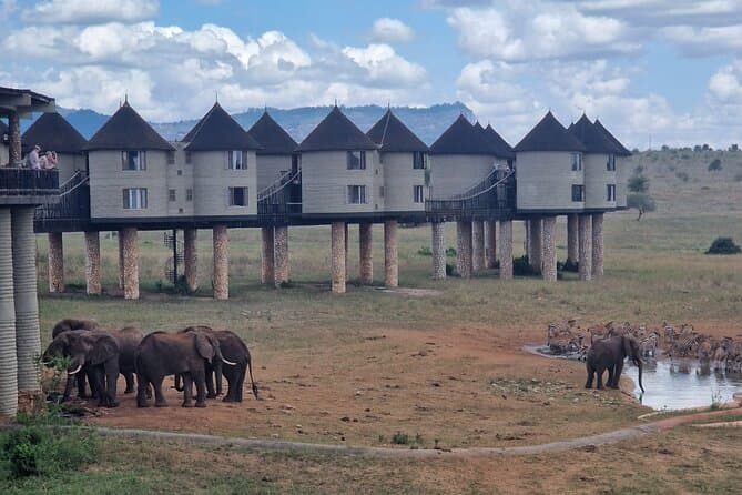 Unforgettable Taita Hills Safari from Diani Beach