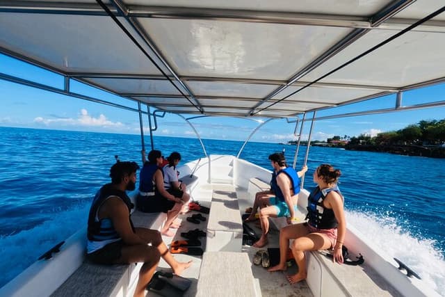 Discover Sosua's Underwater World & Beach Day