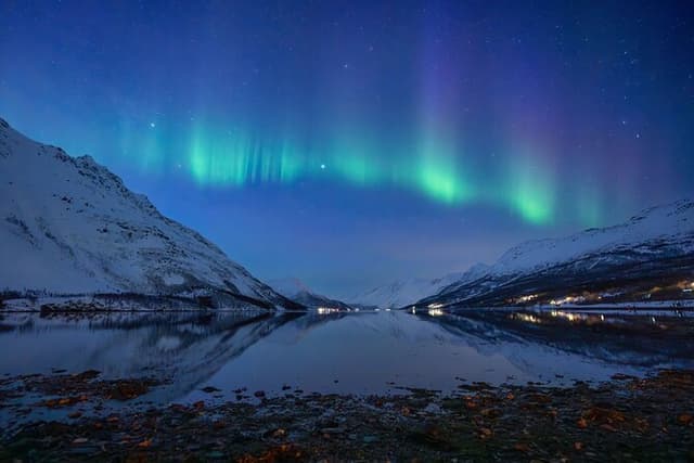 Sami Reindeer Camp Visit and Aurora Wonder Night