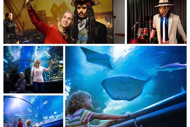 Side: Antalya Aquarium Ticket With Optional Transfer
