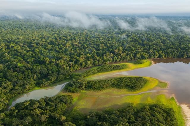 Full Day Amazon Adventure: Private Shore Tour from Iquitos