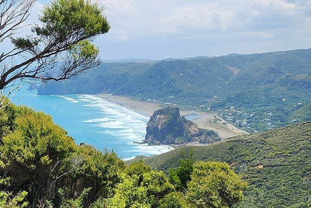 Private Auckland best Spots + Piha beach & Karekare Falls Tour