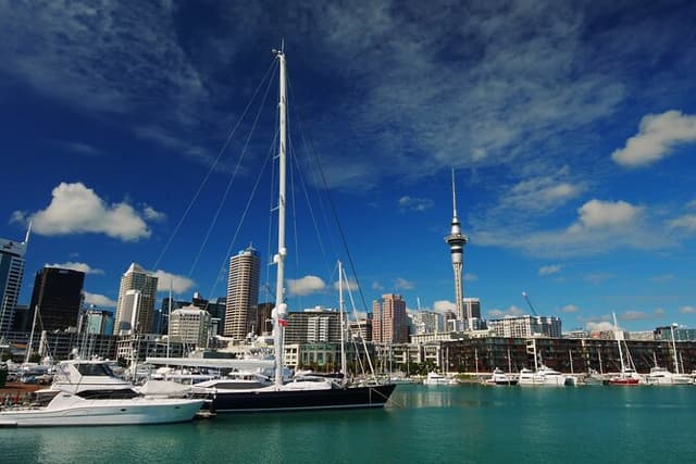 Private City Highlights Tour– The Lay of the Land