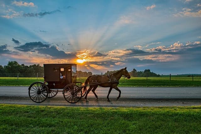 Excursion to Philadelphia and the Amish Region from New York
