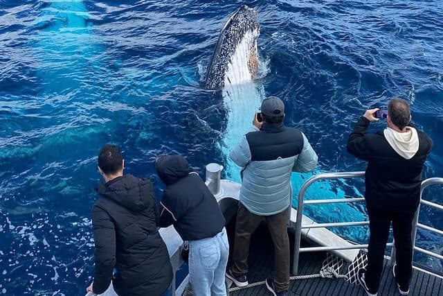 Dunsborough Whale Watching Tour