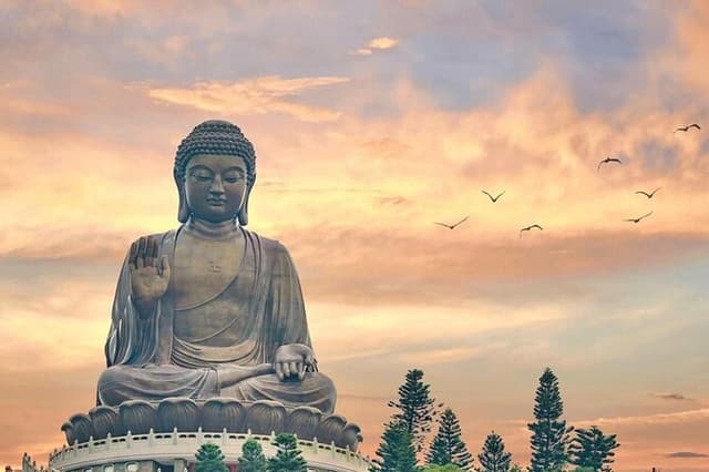 Lantau Island Bus Tour: Big Buddha, Ngong Ping & Tai O Dolphins
