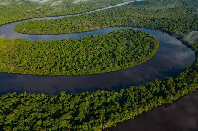 Isla Bonita Discovery – Full Day Private Shore Tour from Iquitos