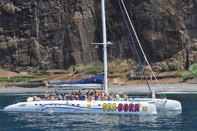 Arieiro Peak and Cristo Rei 4x4 Experience + Dolphins Watching