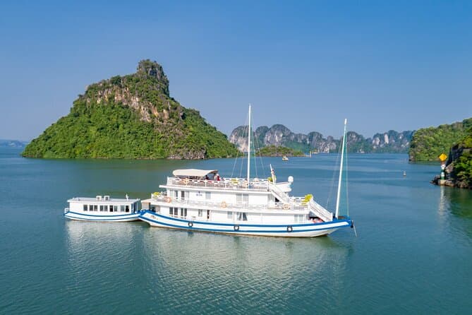 Experience Premium Luxury with Dolphin Day Cruise Hanoi