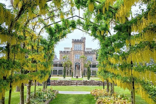 Shore Excursion: Dunedin City, Otago Peninsula, Castle Gardens & Olveston Tour