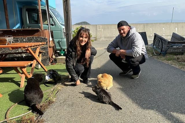 Ainoshima Island Tour - Cats, History and Nature from Hakata