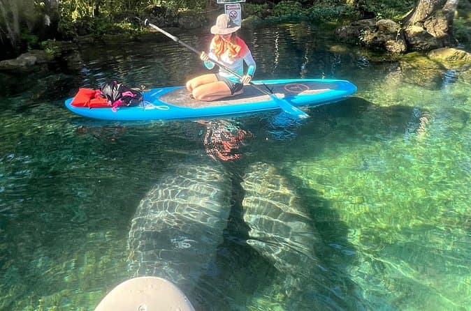 Best Crystal River Paddle Board Rentals