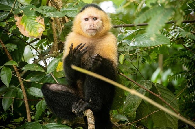 Top Rated Gatun Lake Cruise Tours