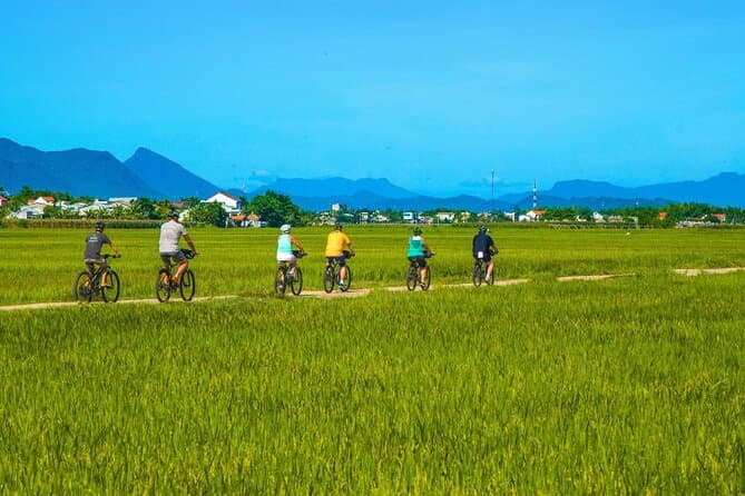 Seamless Private Transfers: Hoi An to My Son Sanctuary