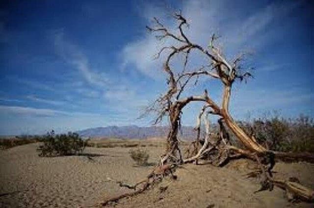 Death Valley Small Group Day Tour from Las Vegas
