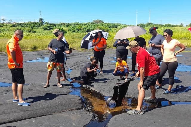 Trinidad Treasures Pitch Lake Temple and Scarlet Ibis