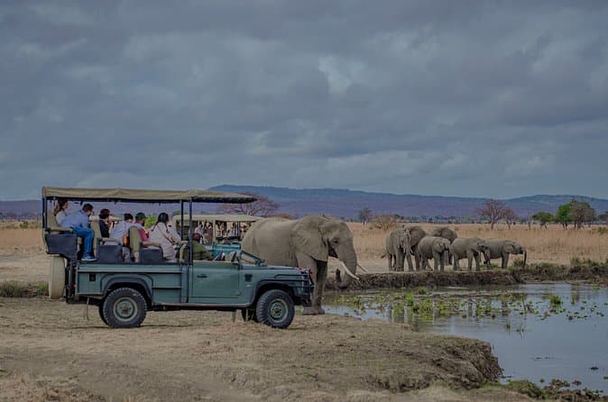 Mikumi National Park Safari, Morogoro Travel Guide