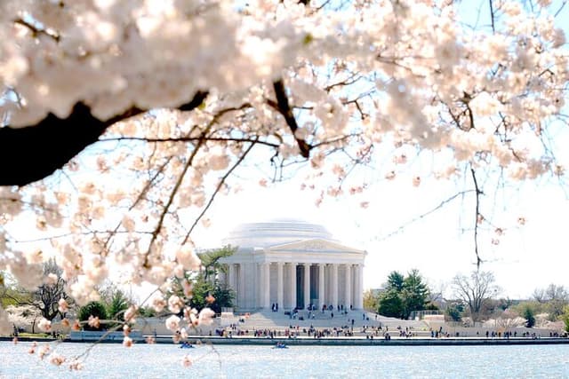Washington DC Monuments Tour with 10+ Stops and Boat Cruise
