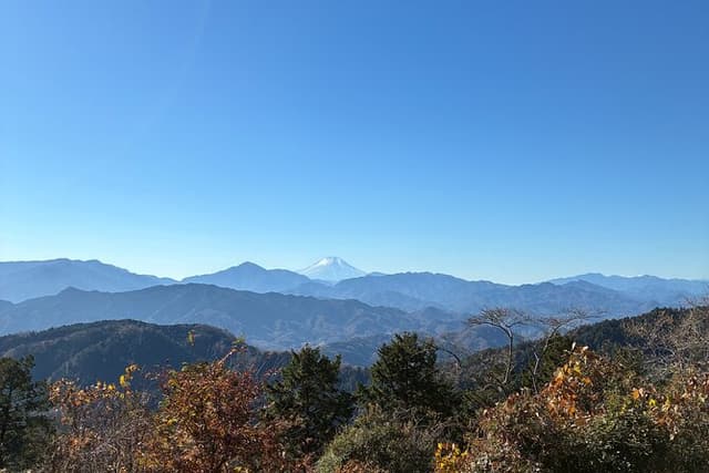 Half Day Hiking at Mt Takao Back to Shinjuku by Noon